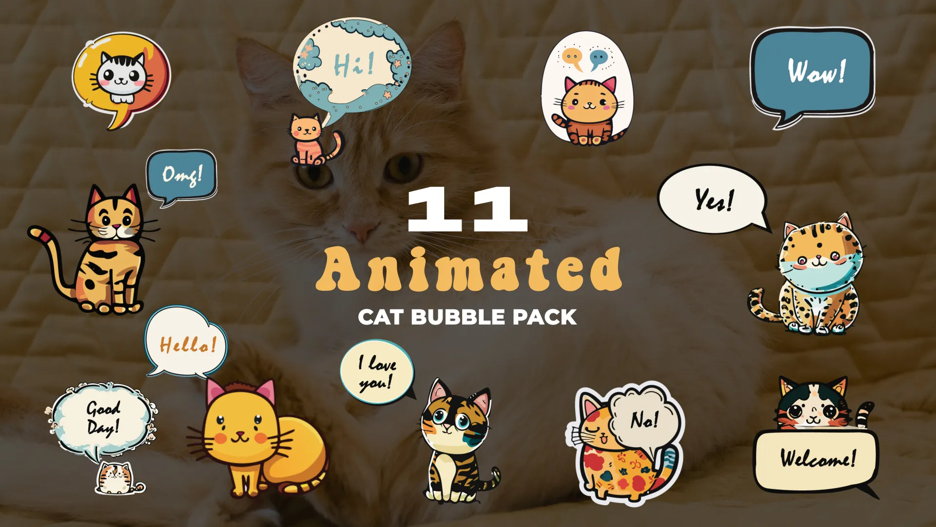 Cute 2D Vector Cat Bubbles Pack Animation Scene